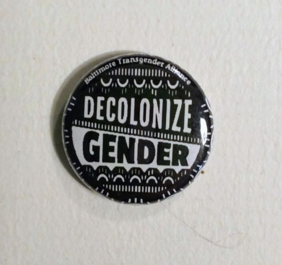 Queer-Decolonial Pedagogies for Trans Youth and Adults